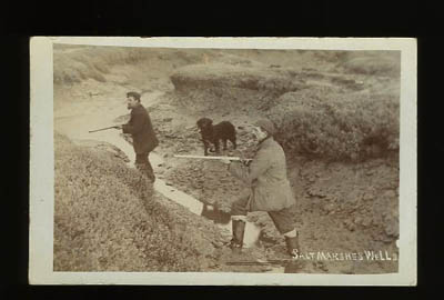 Wells Salt Marshes postcard