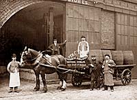 Guinness Dray